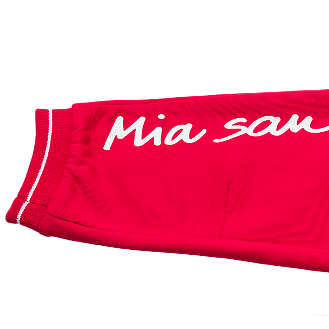 Baby Jogger Logo Offizieller FC Bayern