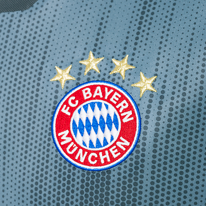 FC Bayern Trikot Champions League 18/19 | Offizieller FC ...